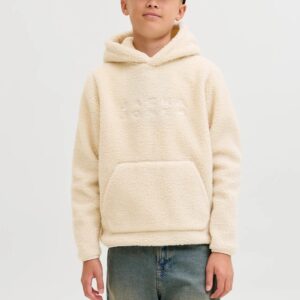 Sudadera_con_capucha_JACK_&_JONES_Junior_12286858