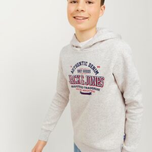 Sudadera-JACK-&-JONES-niño-12258823